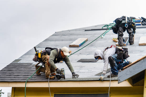 Professional Gutter Installation technician working in Westwood, CA
